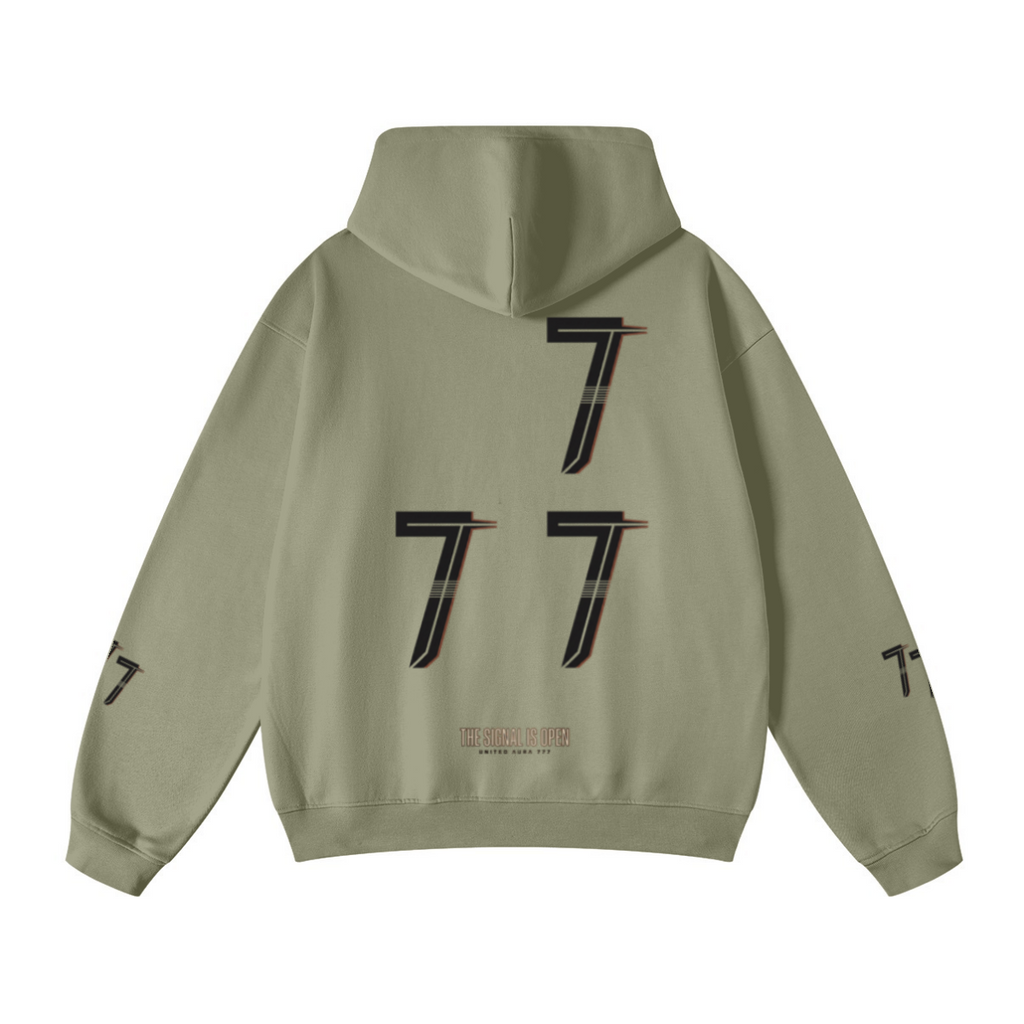 445GSM Unisex Fall&Winter Loopback Hoodie Gray Green